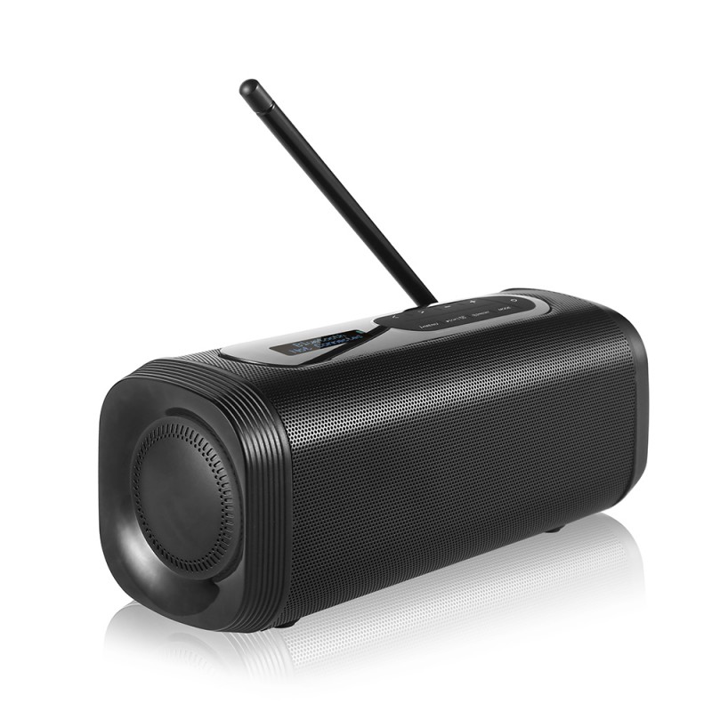 Enceinte nomade Bluetooth Radio DAB+ MY SPEAKER+ Radios CGV