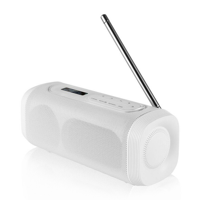 Enceinte nomade Bluetooth Radio DAB+ - MY SPEAKER+ blanche Enceinte nomade Bluetooth Radio DAB+ - MY SPEAKER+ blanche