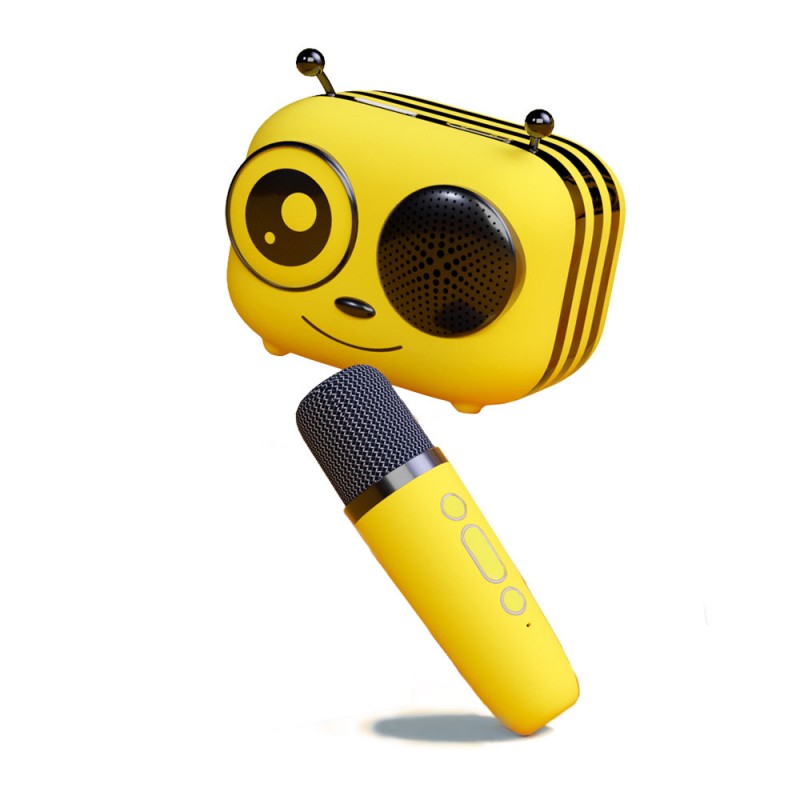 Kit karaoké / enceinte sans fil MAYA Kit Karaoké CGV