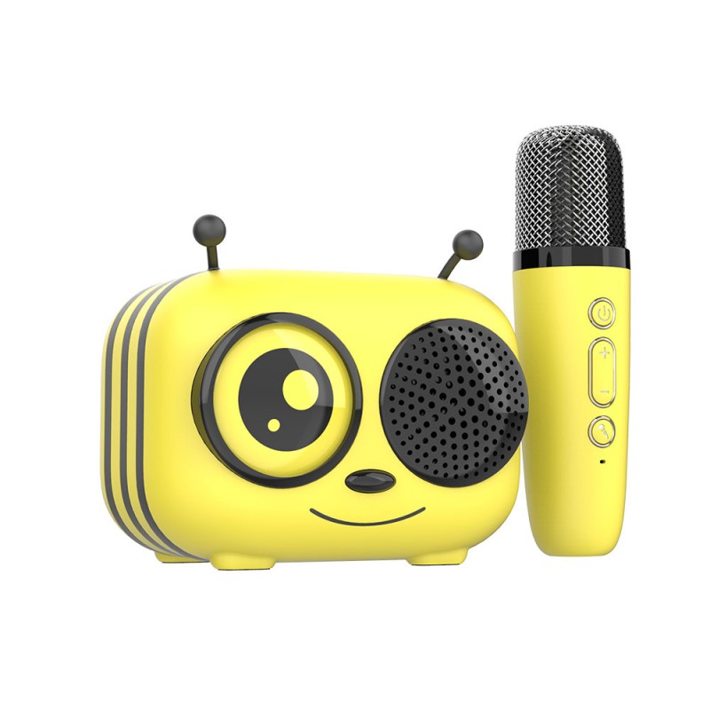 Microphone karaoké Bluetooth sans fil - changeur de voix - kit karaoké -  pour enfants