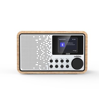 Radio numérique - DR25i+BT FSC