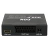 Convertisseur DHD-P péritel vers HDMI : vue des ports