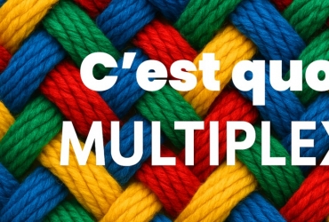 C'est quoi Multiplex ?